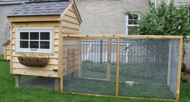 Jak uspořádat dočasný kachní dům nebo postavit stálou boudu pro ptáky?